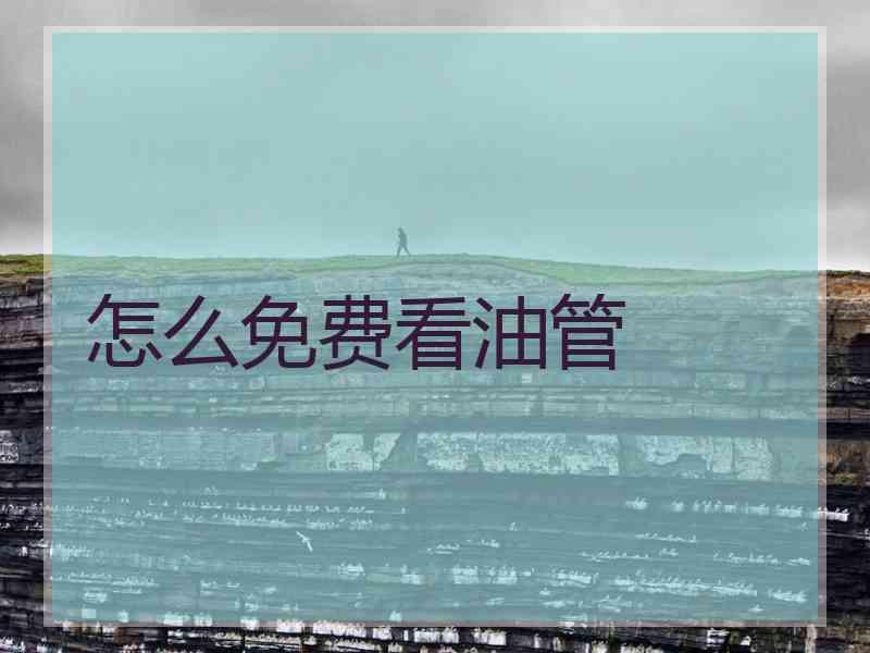 怎么免费看油管